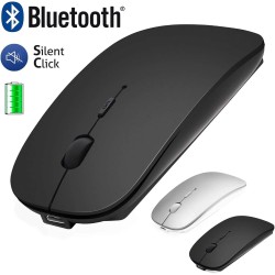 Souris sans Fil Bluetooth rechargeable